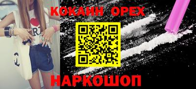 молекула духа Кингисепп