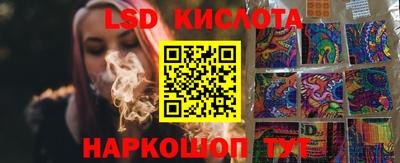 молекула духа Кингисепп
