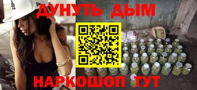 молекула духа Кингисепп