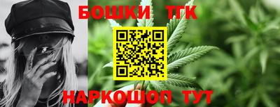 молекула духа Кингисепп