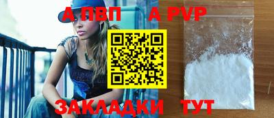 молекула духа Кингисепп
