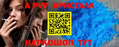 молекула духа Кингисепп